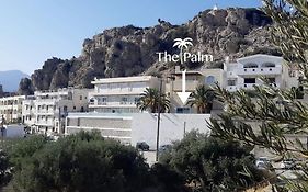 The Palm Apartment Karpathos